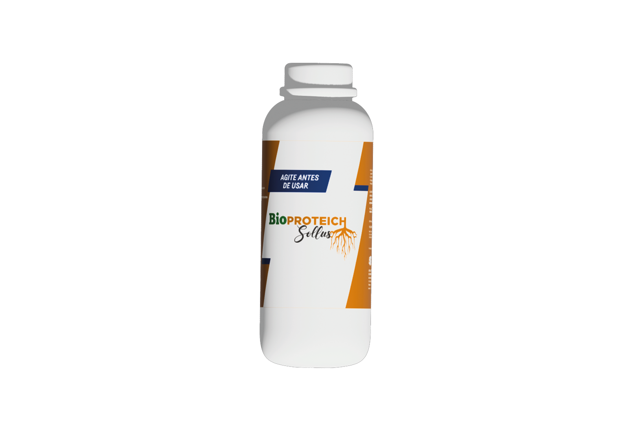 Produto 5